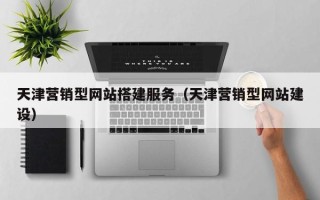 双峰天津营销型网站搭建服务（天津营销型网站建设）